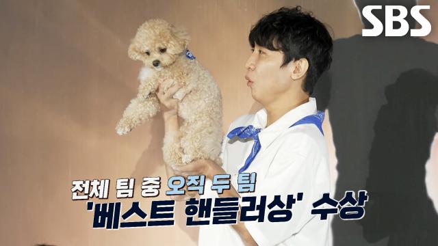 한솔×토리, 도그댄스 첫 출전에 스페셜 어워드 ‘베스트 핸들러상’ 수상!