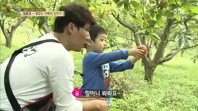 임유 군, 홍시 먹방 '화제' (자기야 207회) 썸네일