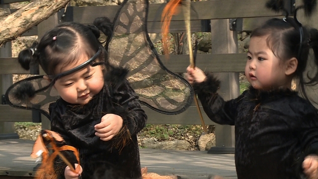 살벌한 라둥이 대전