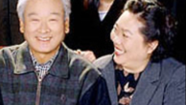 은사시 나무