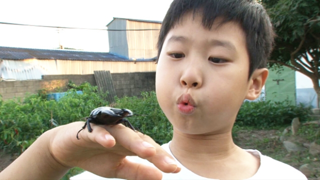 곤충밖에 난 몰라 2부