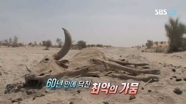 희망TV SBS