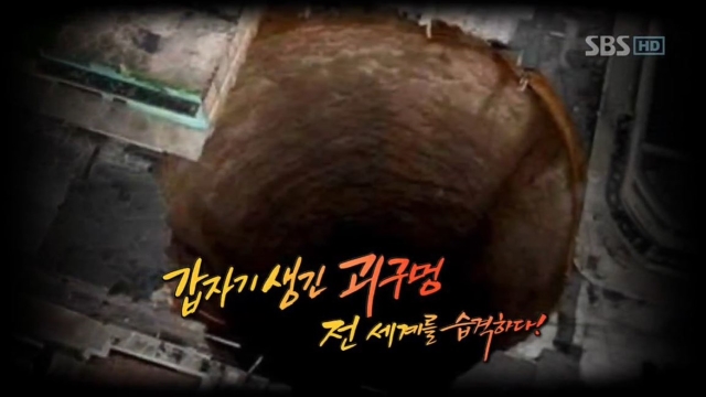 그것이 알고 싶다
