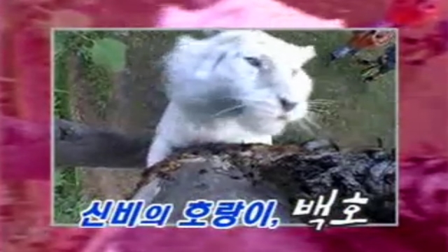 세계로 떠나볼까