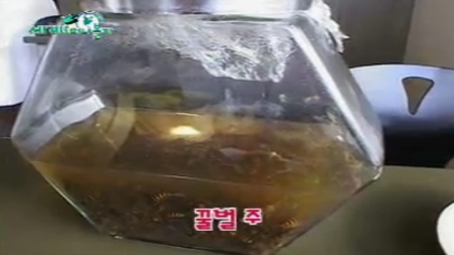 세계로 떠나볼까