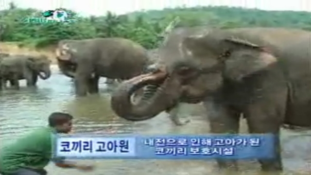 세계로 떠나볼까