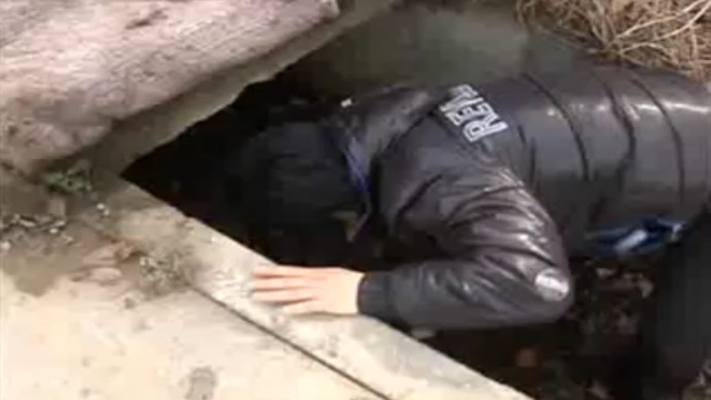 물은 생명이다