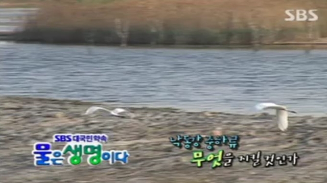 물은 생명이다