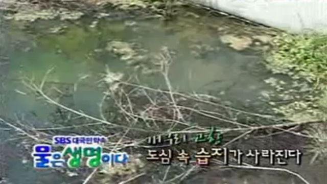 물은 생명이다
