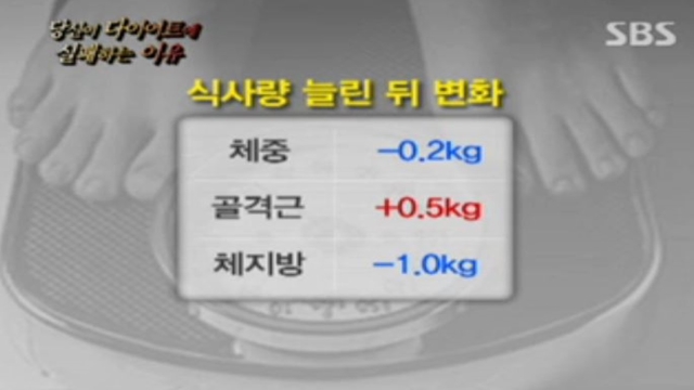 뉴스추적