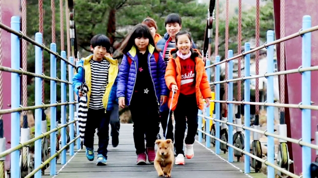 학교 다니는 개 보탐이와 식탐이!