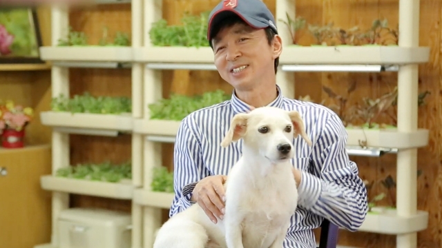 여행을 소재로 한 예능의 득과 실
