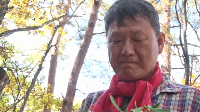 바다 사나이, 산바람 나다