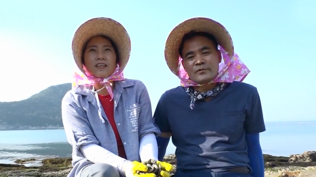 그 섬에 가위손 부부가 산다.