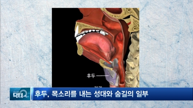 목이 붓고 따끔따끔 '인후염' 주의