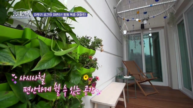 홈데렐라
