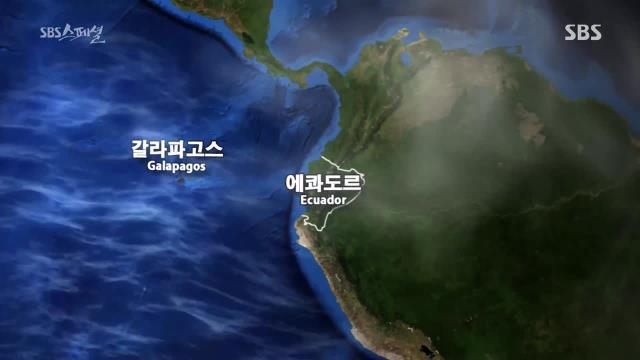 갈라파고스의 바다가 풍요로운 비결은?
