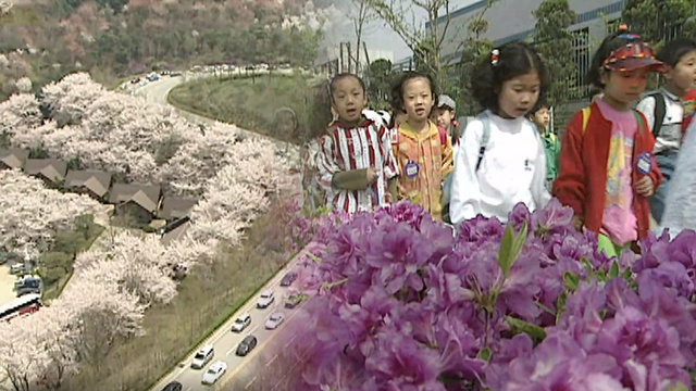 봄바람 휘날리면~ 그 시절 봄맞이 풍경