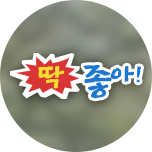 딱 좋아 : 무료보기 : SBS