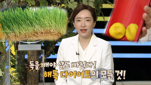  톡톡 정보 브런치 103회