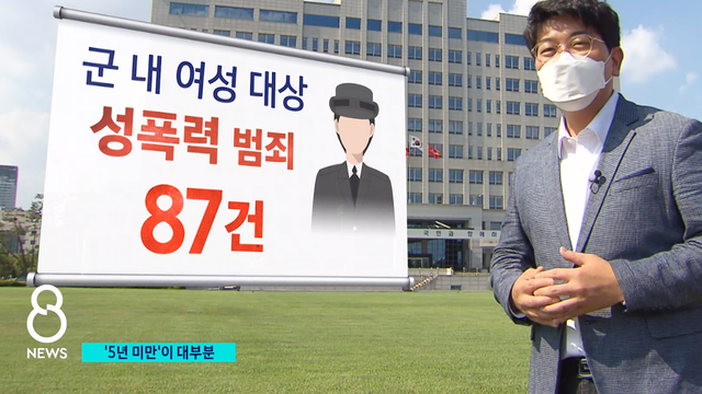 성범죄 보도점검
