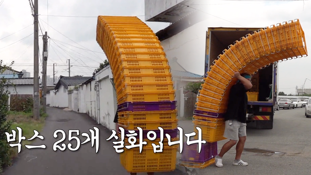 이사 달인