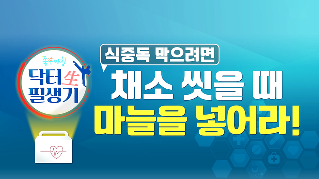 닥터 필생(生)기 6331