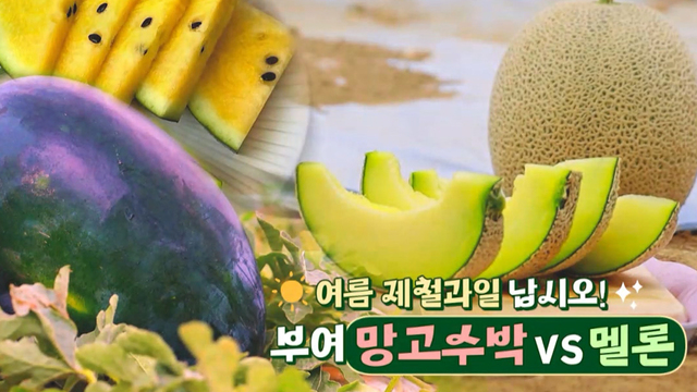 1,246회 충남 썸네일