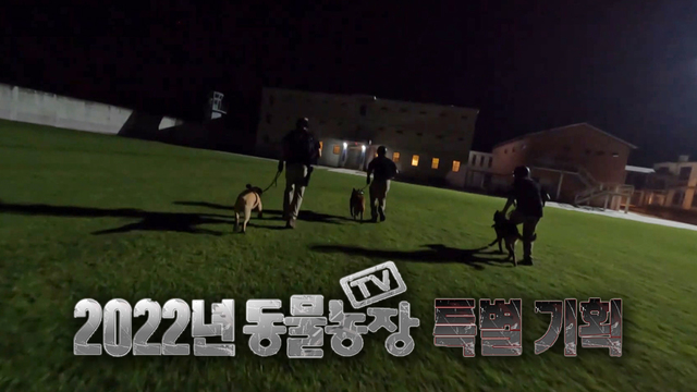 01086회 특별기획 - TOP DOG 2 썸네일