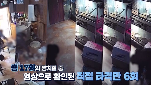야생동물카페의 불편한 진실