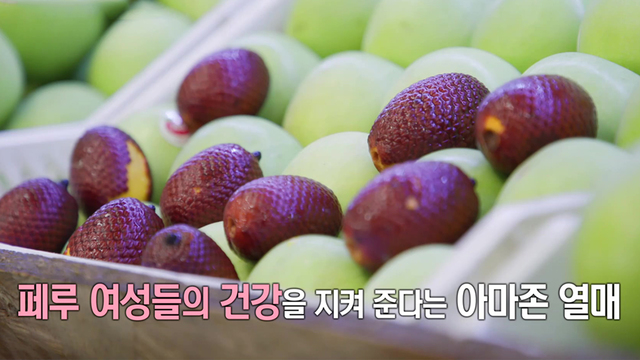 건강한 아침 닥터의 선물