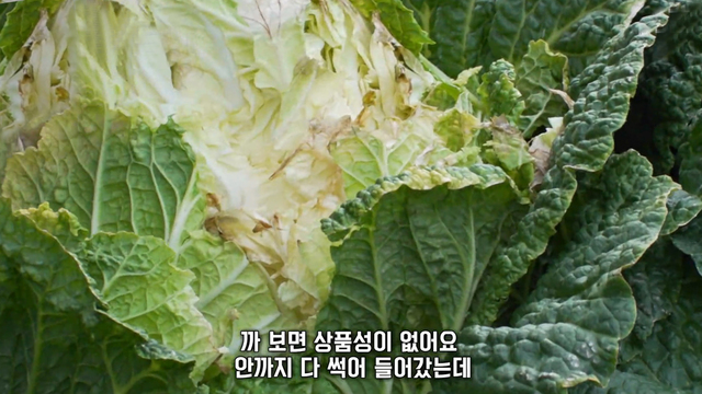 7,990회 최악의 가뭄, 남부지방 초비상! 썸네일
