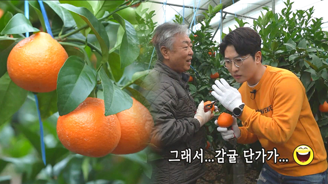 [다시보기] 네트워크 현장! 고향이 보인다 1285회