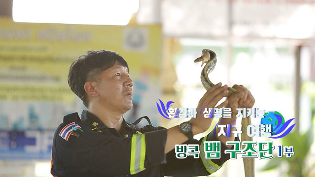 환경과 생명을 지키는 지구 여행 : 방콕 뱀 구조단 1부