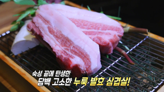 [다시보기] 살맛나는 오늘 537회