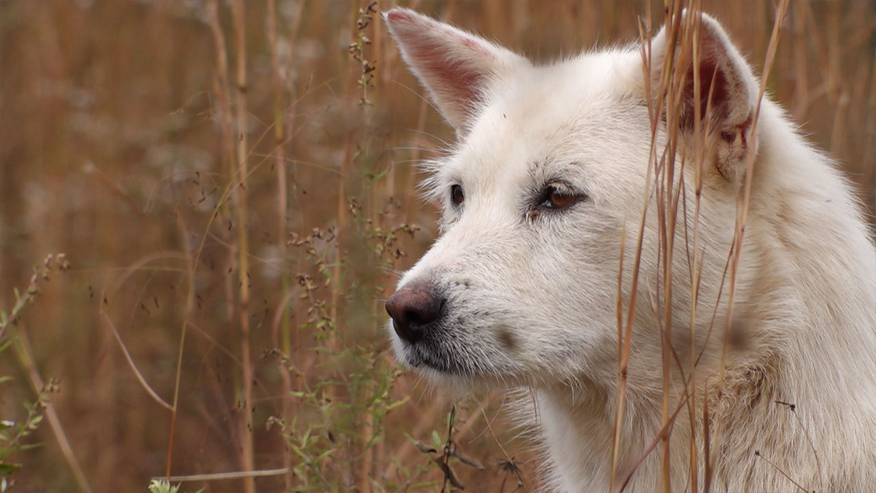 진순아 같이 살자!