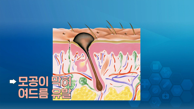 닥터 필생(生)기