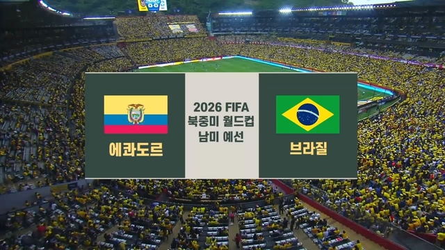 에콰도르 vs 브라질 [남미예선] 22