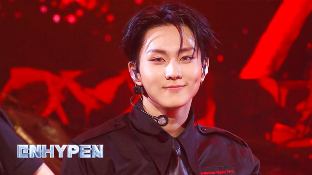 세븐틴, ENHYPEN, 엔플라잉 등