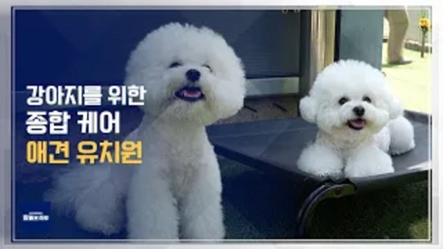 2025년 6월 15일 방송