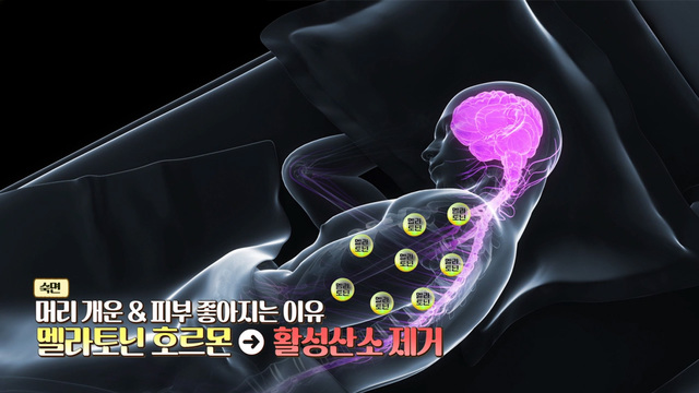 멜라토닌 호르몬
