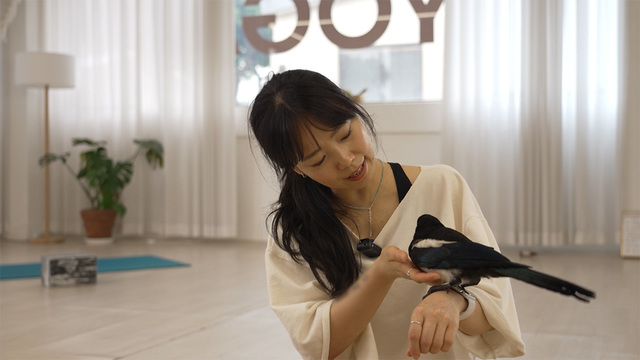 요가 선생님과 까치