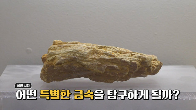금속 탐구