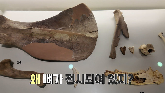 선사 시대 유물 탐구