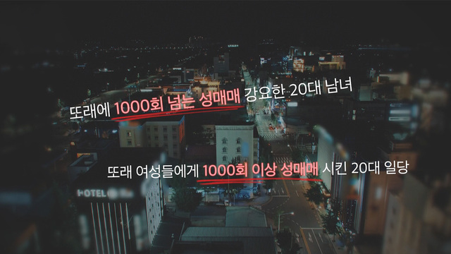 여왕벌과 기생충  - 대구 감금 성매매 사건의 진실 1451