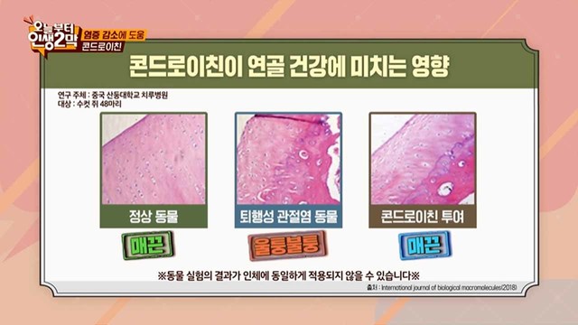  염증 감소에 도움-콘드로이친