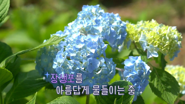 울산