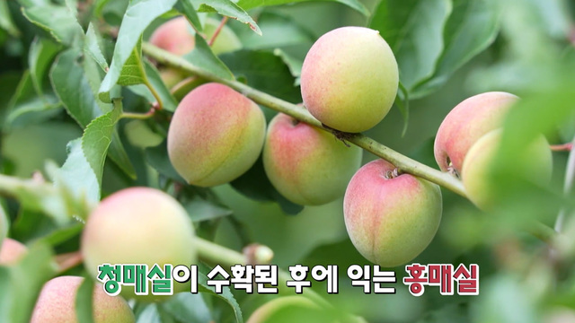 경남
