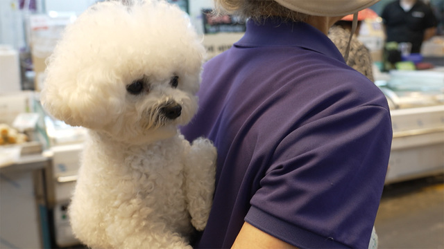 1,233회 할머니와 어부바 영배 썸네일