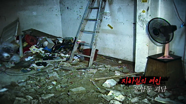 꼬리에 꼬리를 무는 그날 이야기